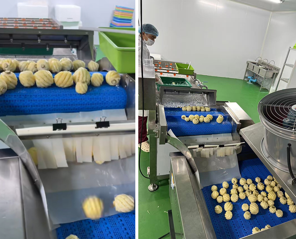 Thailand Fruit Processing Line Installation