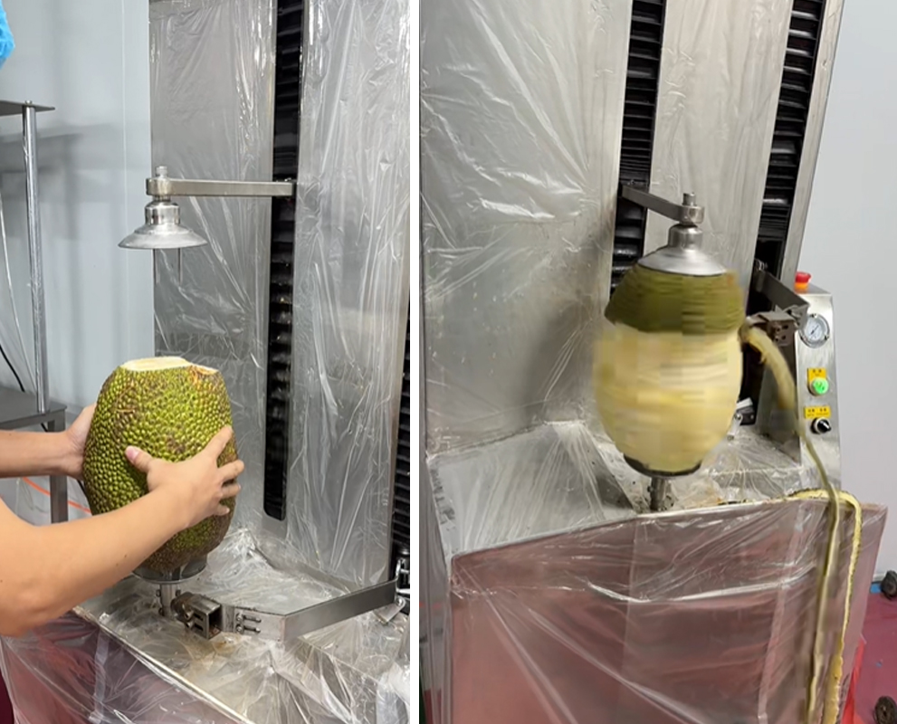 Thailand Fruit Processing Line Installation