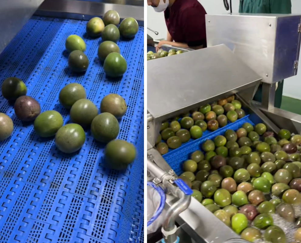 Thailand Fruit Processing Line Installation