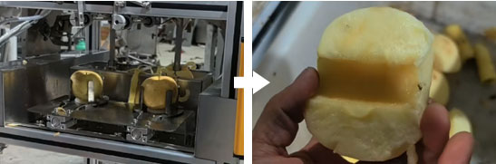 3-in-1 Multifunctional Fruit Peeler, Corer, Halver and Slicer | Product Introduction, User Manual