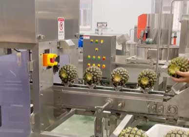 3-in-1 Automatic Pineapple Peeling, Eye Removing and Ends Cutting Machine