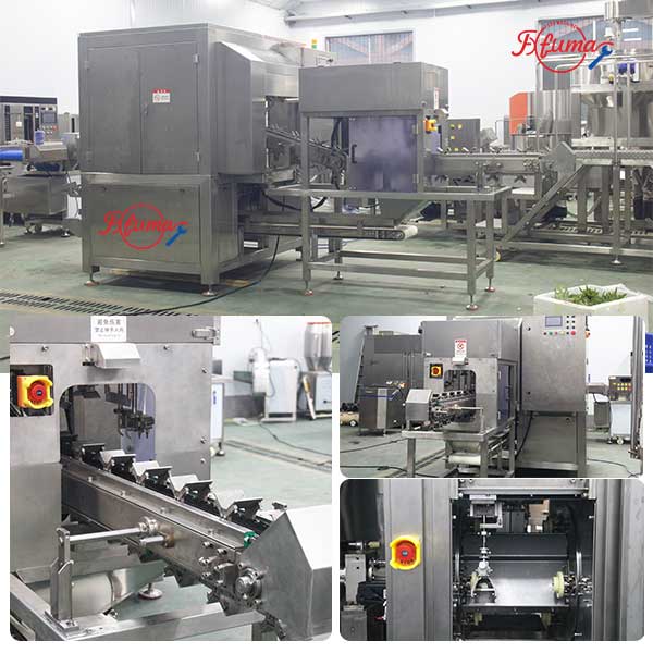 3-in-1 Automatic Pineapple Peeling, Eye Removing and Ends Cutting Machine