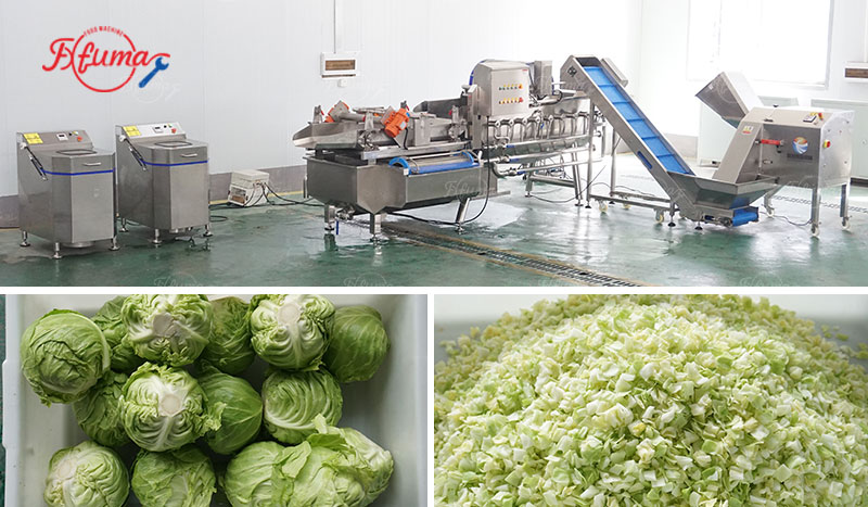 Vegetable Processing Line - Cabbage Cutting, Washing and Spin Drying Machine