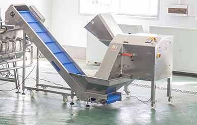 Vegetable Processing Line - Cabbage Cutting, Washing and Spin Drying Machine