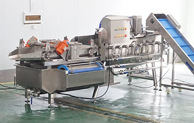 Vegetable Processing Line - Cabbage Cutting, Washing and Spin Drying Machine