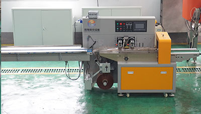 One-Stop Ready Meal Production Line Solutions — Full-Process Intelligent Equipment from Washing to Packaging