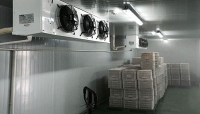 One-Stop Ready Meal Production Line Solutions — Full-Process Intelligent Equipment from Washing to Packaging