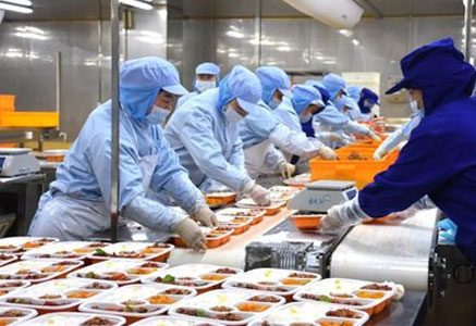 One-Stop Ready Meal Production Line Solutions — Full-Process Intelligent Equipment from Washing to Packaging