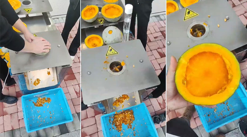 Pumpkin Flesh Removing Machine Pumpkin Coring Machine