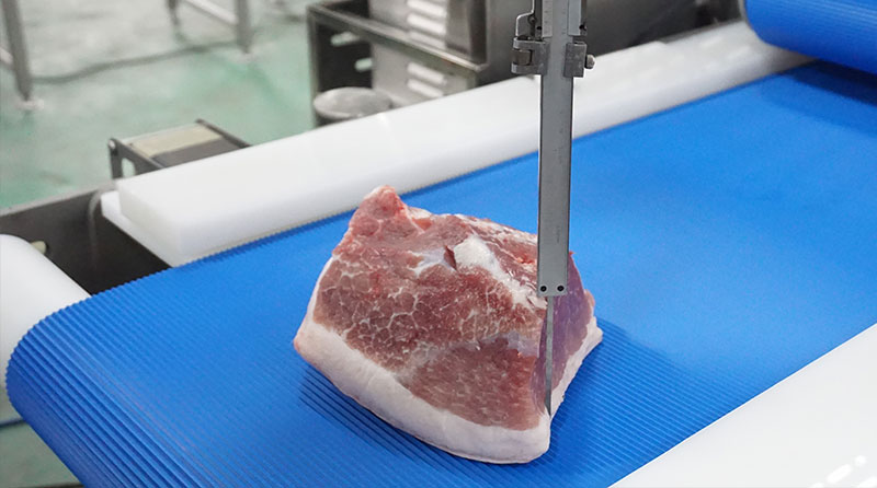 Trial Report: Meat Slicer, Pork Leg Splitter, Rib Cutter