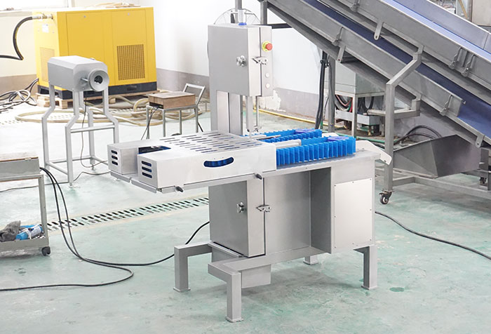 Trial Report: Meat Slicer, Pork Leg Splitter, Rib Cutter