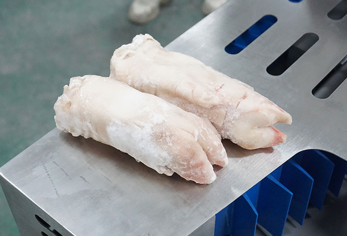 Trial Report: Meat Slicer, Pork Leg Splitter, Rib Cutter