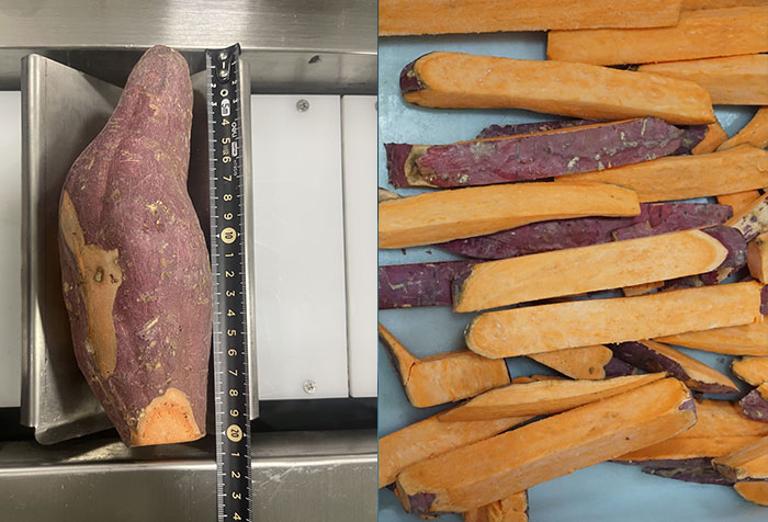 Trial Report: Meat Slicer, Pork Leg Splitter, Rib Cutter