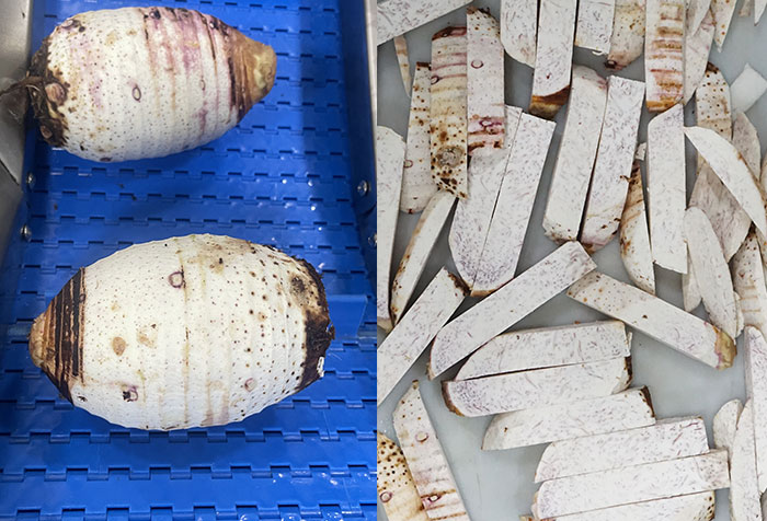 Trial Report: Meat Slicer, Pork Leg Splitter, Rib Cutter