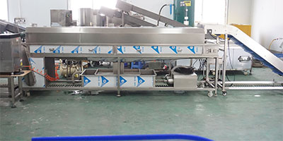 Customizable Vegetable and Fruit Juice Pre-Processing Line