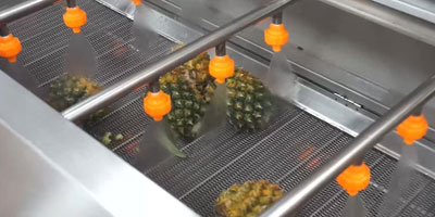 Customizable Vegetable and Fruit Juice Pre-Processing Line