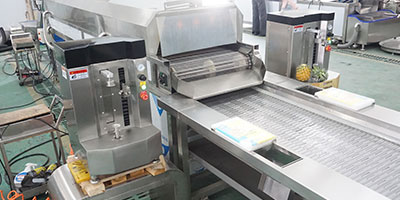 Customizable Vegetable and Fruit Juice Pre-Processing Line