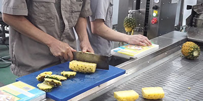 Customizable Vegetable and Fruit Juice Pre-Processing Line