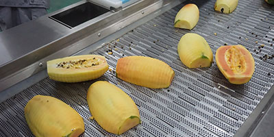 Customizable Vegetable and Fruit Juice Pre-Processing Line