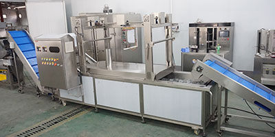 Customizable Vegetable and Fruit Juice Pre-Processing Line