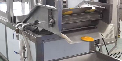 Customizable Vegetable and Fruit Juice Pre-Processing Line