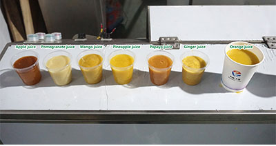 Customizable Vegetable and Fruit Juice Pre-Processing Line