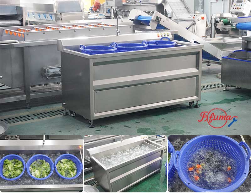 Commercial Seafood Fruit Vegetable Bubble Washer | Ozone, Ultrasonic, Blanching Function