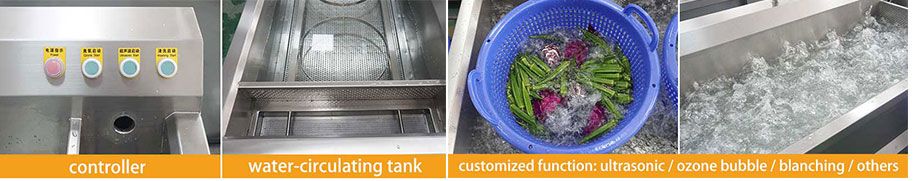 Commercial Seafood Fruit Vegetable Bubble Washer | Ozone, Ultrasonic, Blanching Function