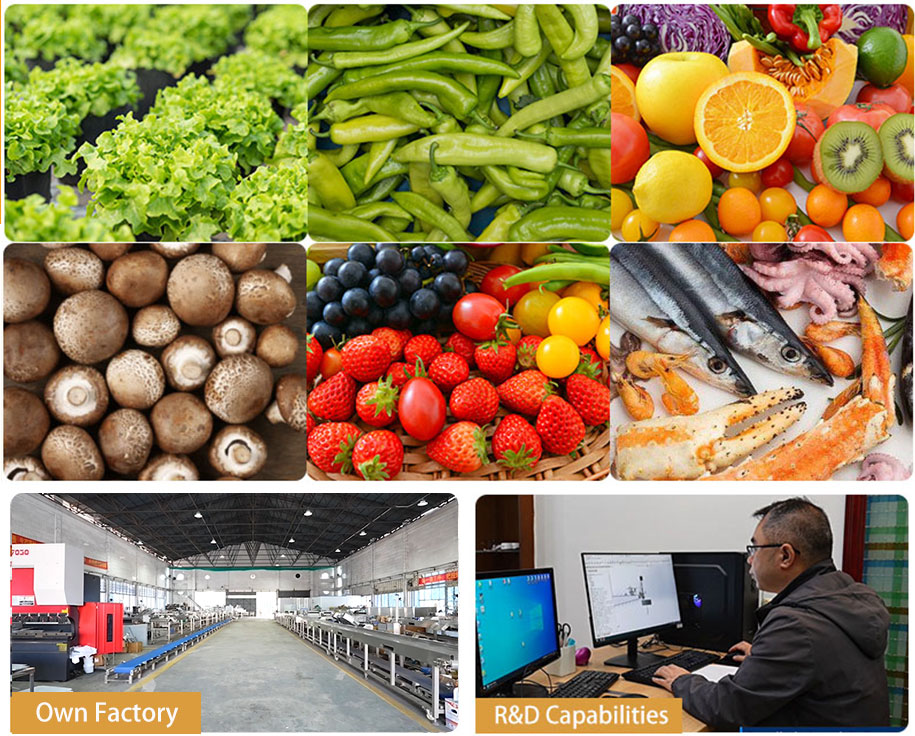 Commercial Seafood Fruit Vegetable Bubble Washer | Ozone, Ultrasonic, Blanching Function