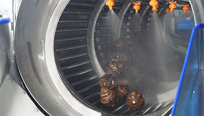 Rotating Barrel Washer for Vegetables Fruits Taro Potato Beetroots Mustard