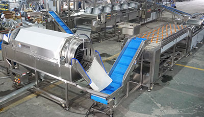 Rotating Barrel Washer for Vegetables Fruits Taro Potato Beetroots Mustard