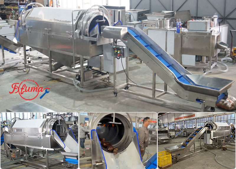 Rotating Barrel Washer for Vegetables Fruits Taro Potato Beetroots Mustard