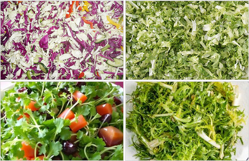 Fresh-Cut Salad Processing Line - Cutter, Washer, Centrifuge