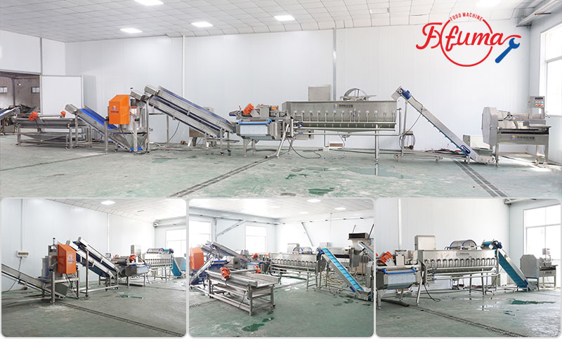 Fresh-Cut Salad Processing Line - Cutter, Washer, Centrifuge