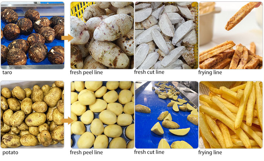 3-line-in-1 Taro Processing Line | Taro Washing Peeling Cutting Frying Freezing