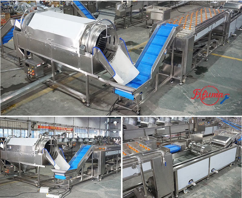 Blueberry Processing Line – Gentle Berry Washing Machine System