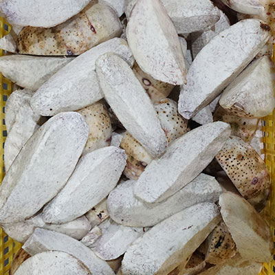 3-in-1 Taro Processing Line | Peeling, Cutting