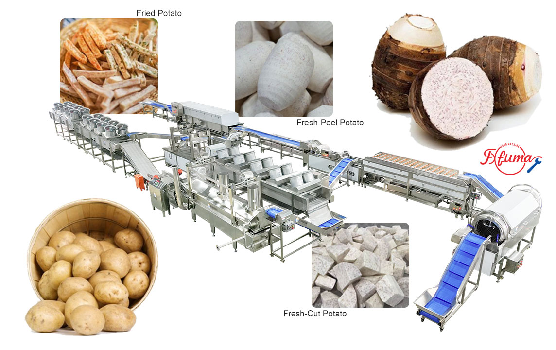 3-in-1 Taro Processing Line | Peeling, Cutting