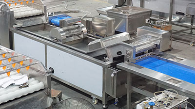 3-in-1 Taro Processing Line | Peeling, Cutting