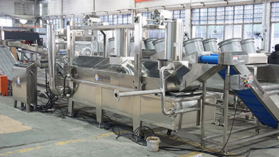 3-in-1 Taro Processing Line | Peeling, Cutting