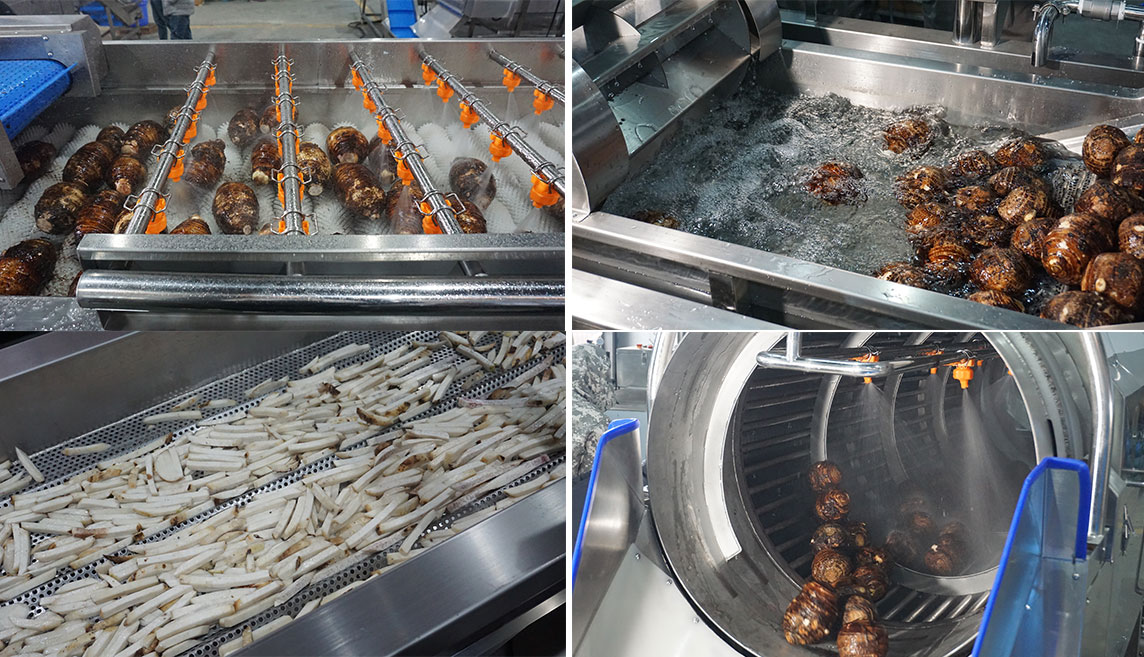 3-in-1 Taro Processing Line | Peeling, Cutting