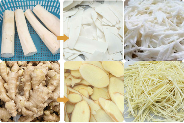 2-in-1 Fresh Ginger Slicer and Shredder Machine FC-503