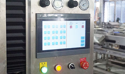 4 in 1 Automatic Pineapple Peeler Corer Cutter Machine