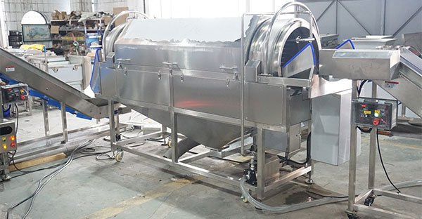 Efficient Berry Washing and Processing Line
