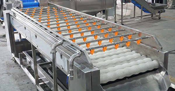 Efficient Berry Washing and Processing Line