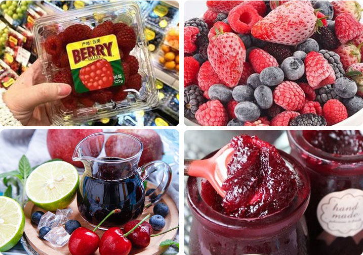 Efficient Berry Washing and Processing Line