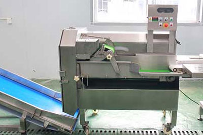 Commercial Salad Kits Production Line - Cutter, Double Washer, Centrifuge