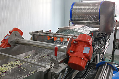 Commercial Salad Kits Production Line - Cutter, Double Washer, Centrifuge