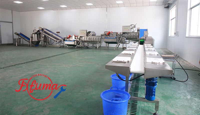 Commercial Salad Kits Production Line - Cutter, Double Washer, Centrifuge