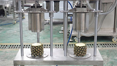 2-in-1 Pneumatic Pineapple Peeling and Coring Machine